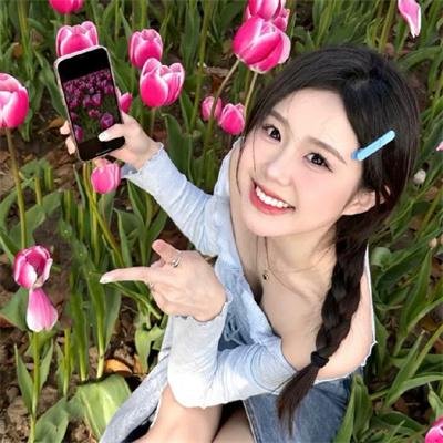 霹雳玫瑰